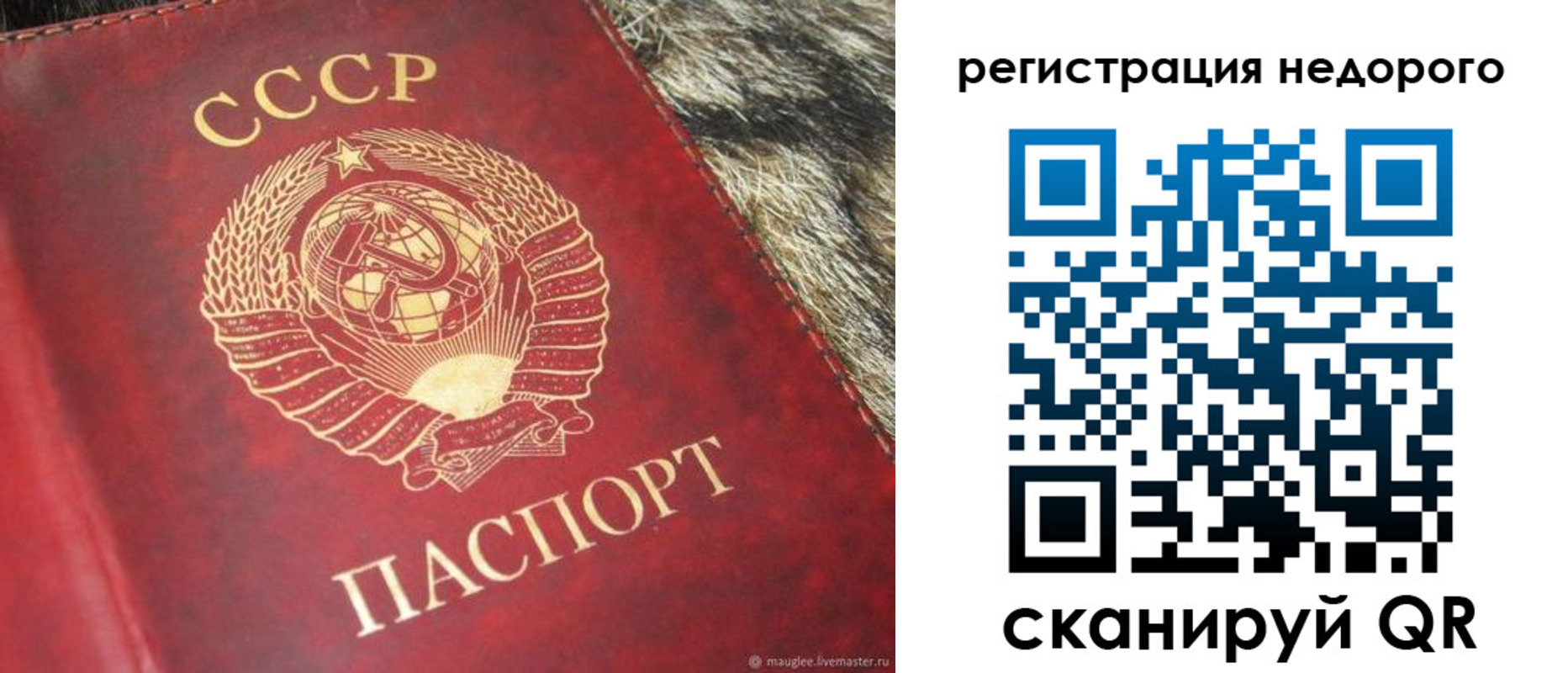 прописка ребенка в Железноводске